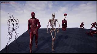 Rigged and Amimated Human Anatomy in Unreal Engine 4.20
