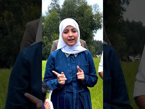 شاهد بماذا ردت أسرة المرحوم الشاعر الشايف على زيارة ماريا قحطان
