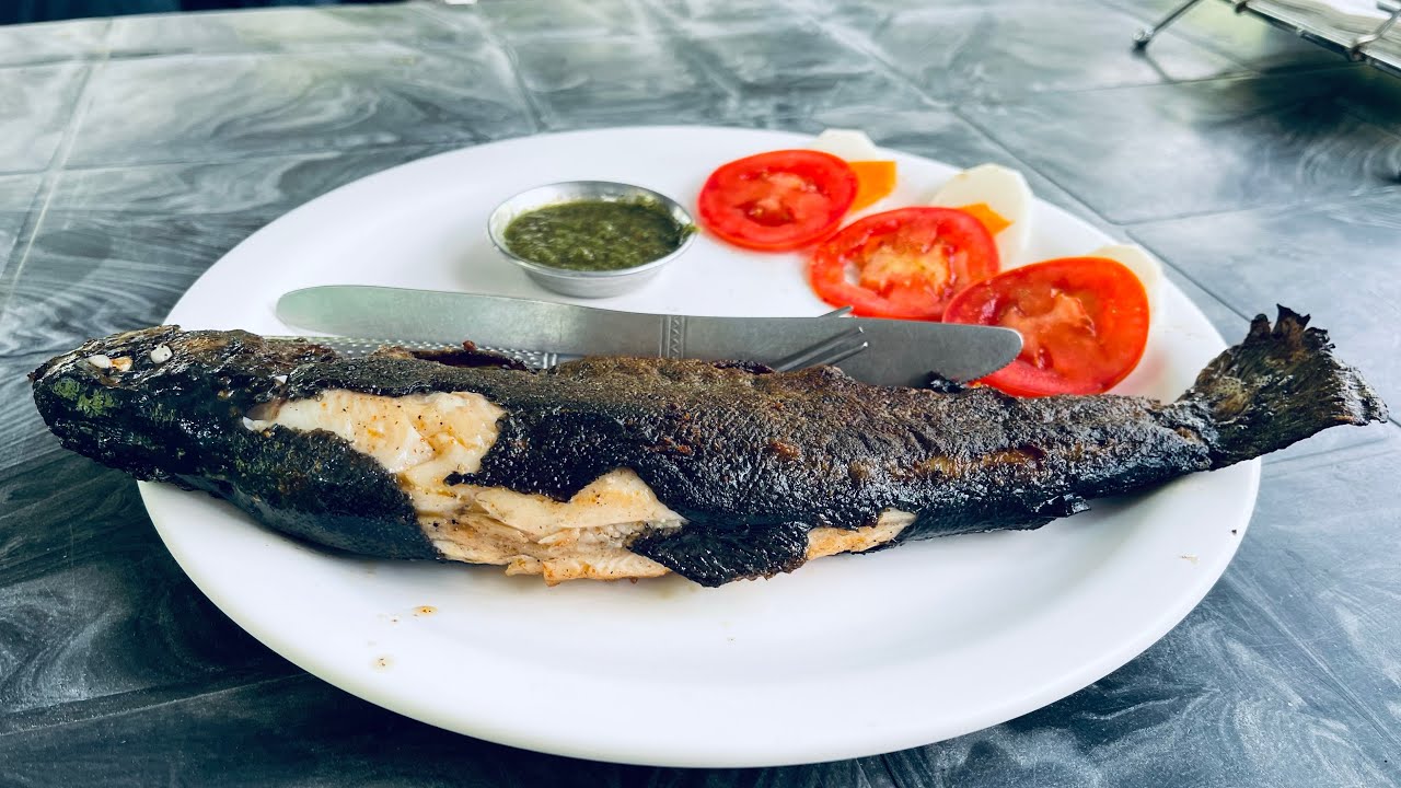 Himalayan Trout Fish Farm Vlog Must Go & Visit This Place Haripur Near Manali Fish Trout 