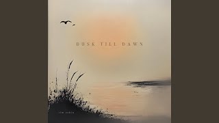 Download lagu Dusk Till Dawn
