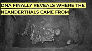 Download Lagu Ancient DNA Finally Reveals the REAL Origin of the Neanderthals MP3 Download Lagu Ancient DNA Finally Reveals the REAL Origin of the Neanderthals MP3