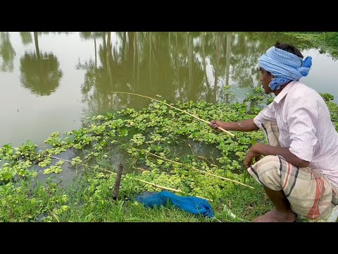 Best Fishing Video || Traditional Hook Fishing in Village Daily Life (Part-213)