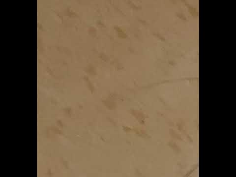 Metal Stomp - Sound Effect - YouTube
