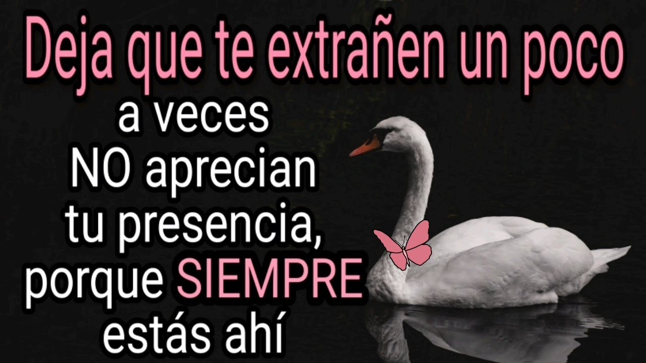 Deja que te extrañen un poco a veces la gente NO aprecia tu presencia