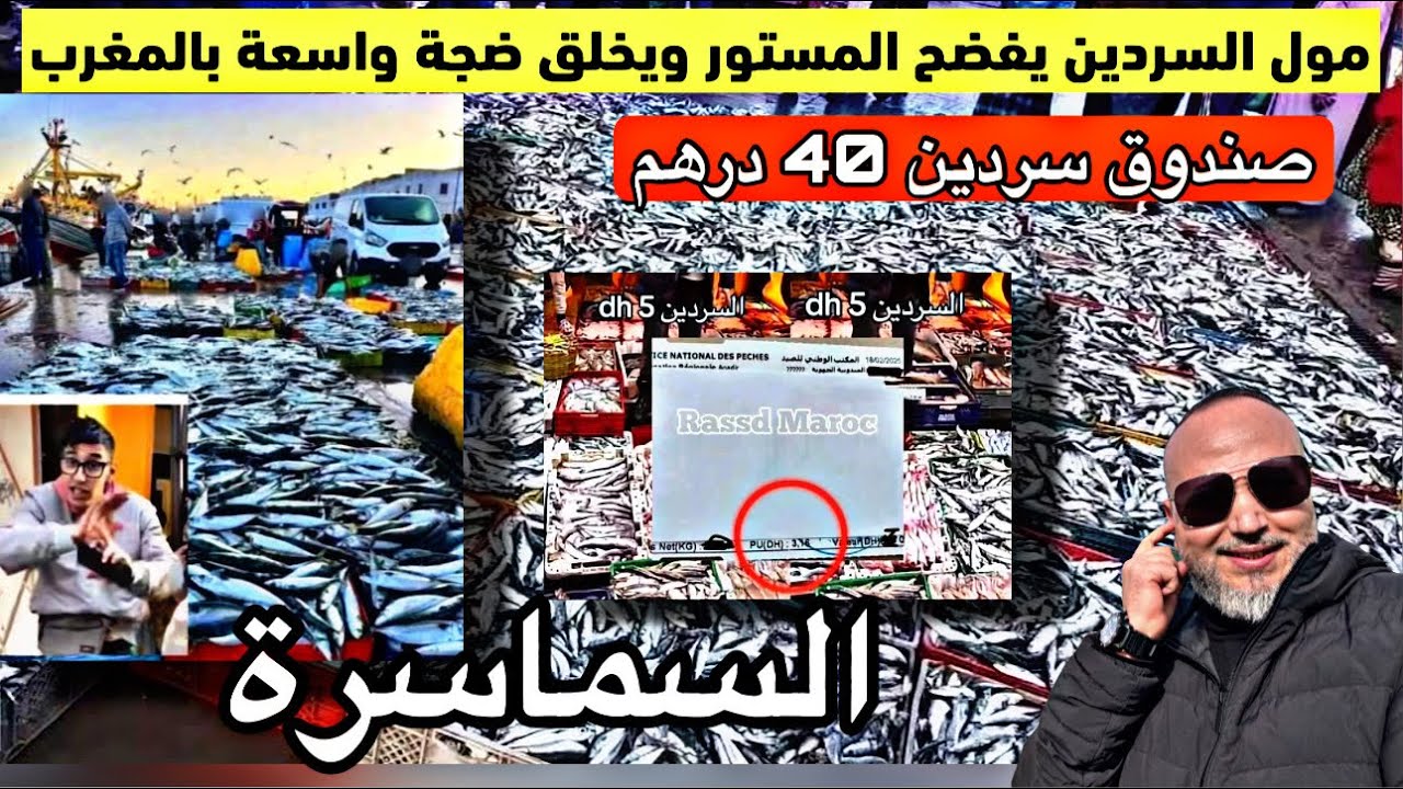 السردين بخمسة الدرهم مول السردين يفضح المستور