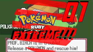 EXREMELY HYPE!!-Pokemon Ruby EXTREME Randomized Nuzlocke
