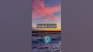 أحمد العجمي/تلاوة هادئة يخشع له القلب أيات من سورة