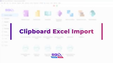 SQL Account - Clipboard Excel Import