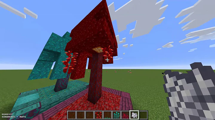 Checking out the 1.16 mincraft snapshot!