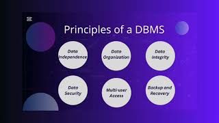 Understanding IT Infrastructure, Databases, Networks, and Information Security in Business