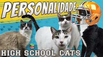 Qual é a personalidade dos gatos?