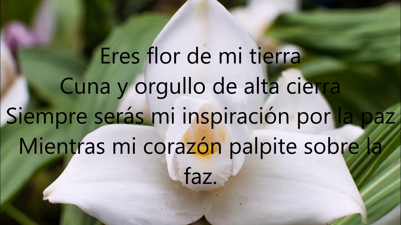 Poema a la monja Blanca 2021