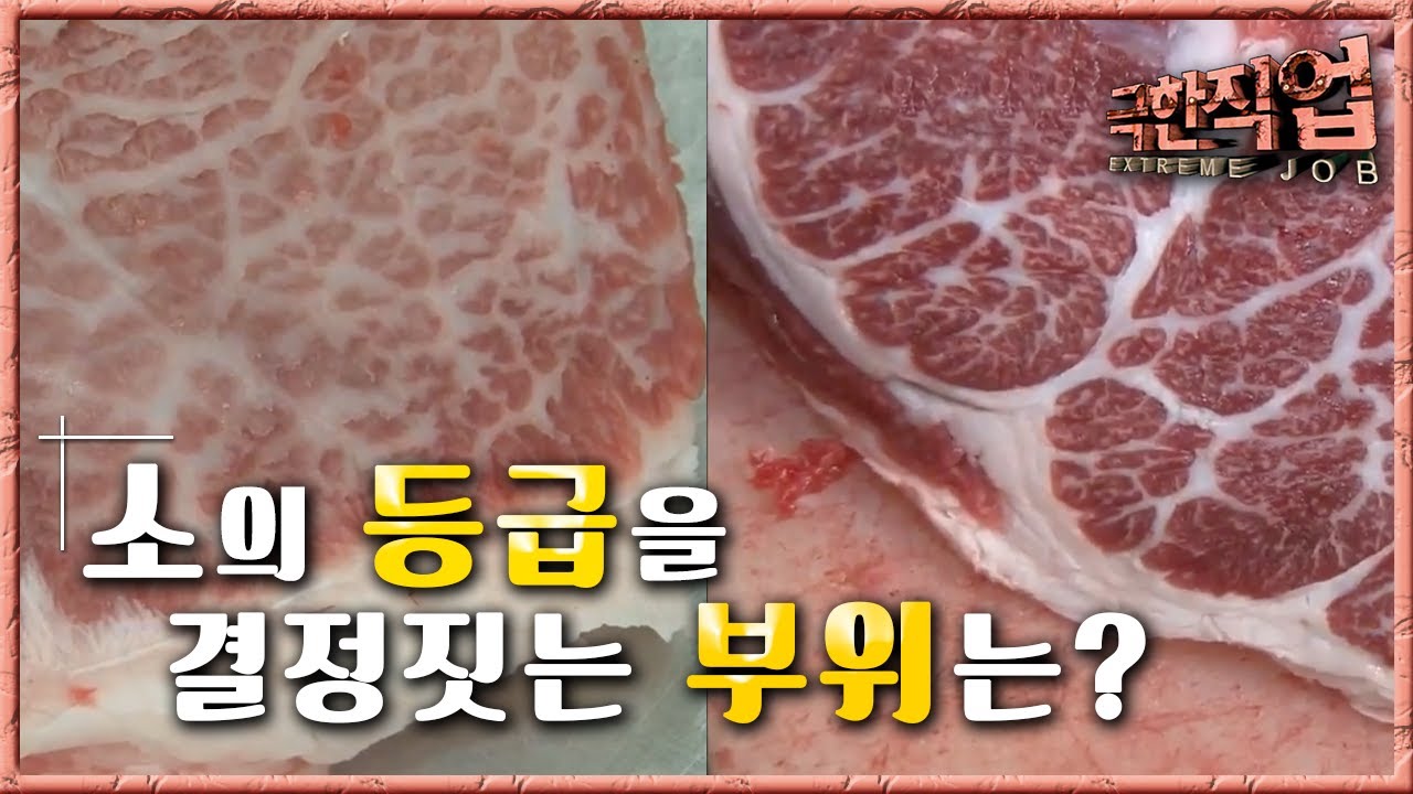 극한직업 - Extreme JOB_육류 가공 공장_#002 - YouTube