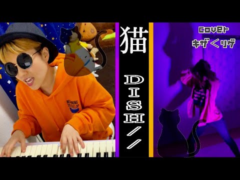 DISH//『猫』（作詞作曲あいみょん）COVER by キザくリゲ