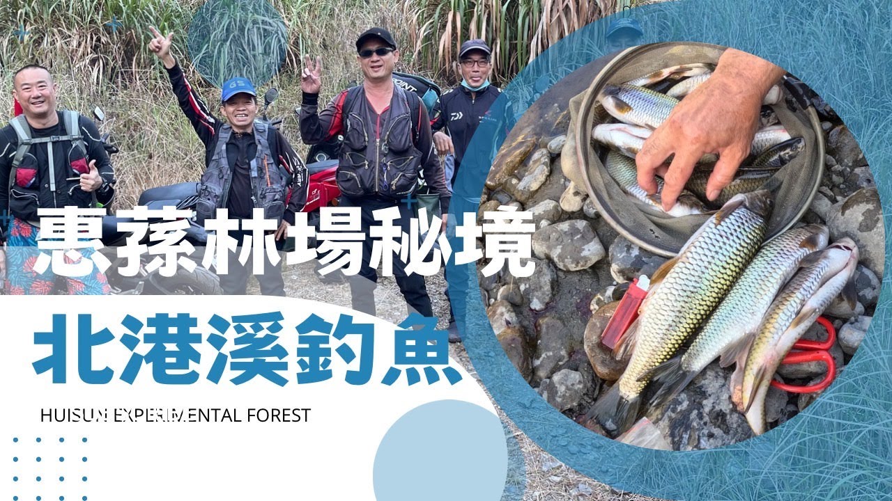 【惠蓀林場秘境 北港溪】巨大苦花尺花｜北港溪溫泉｜釣魚秘境｜巨大彩壁峽谷｜Huisun experimental fores