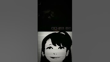 Manhunt 2 Static camera mod and censorship mod.