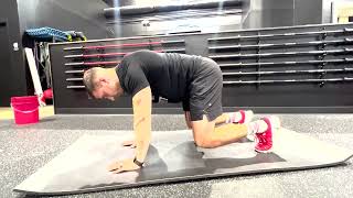 CrossFit Fenix Level 1 Rotational Stability | Quadruped Contralateral Reaches