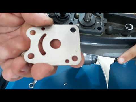 Vídeo: Como você desinfeta um motor de popa de 2 tempos?
