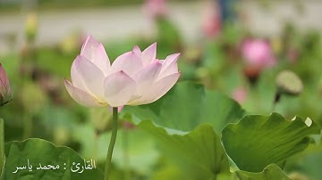 سورة الحاقة | Surah Al-Haqqah