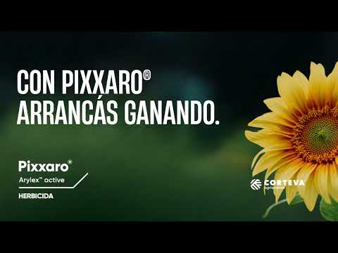 Con Pixxaro®, arrancás ganando.