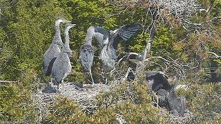 2017 06 03 12h18m go away, this is my branch