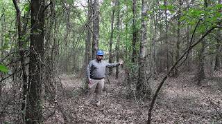 Hardwood Plantations - Considerations for Timber Management