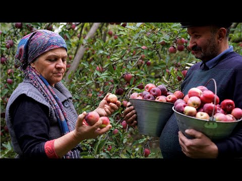 Video: Preparations For The Winter: Pickled Apples With Mint