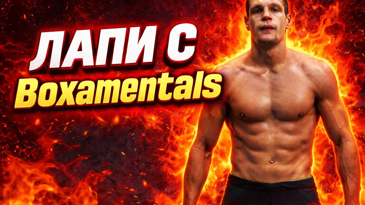 Обучително видео на ЛАПИ със Симеон Динов - @Boxamentals .