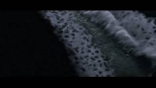 Beach closeup | Houdini