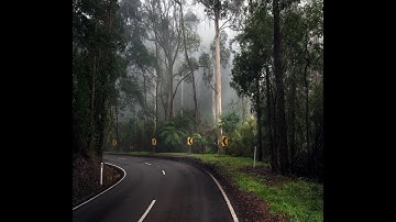 سورة الذاريات برواية خلف عن حمزة للقاريء محمد شاهين