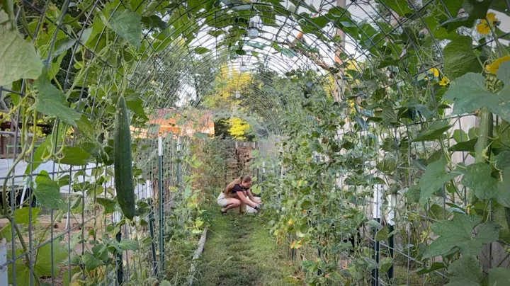 A Morning In My Life During Summer - Garden With Me! VLOG thumbnail