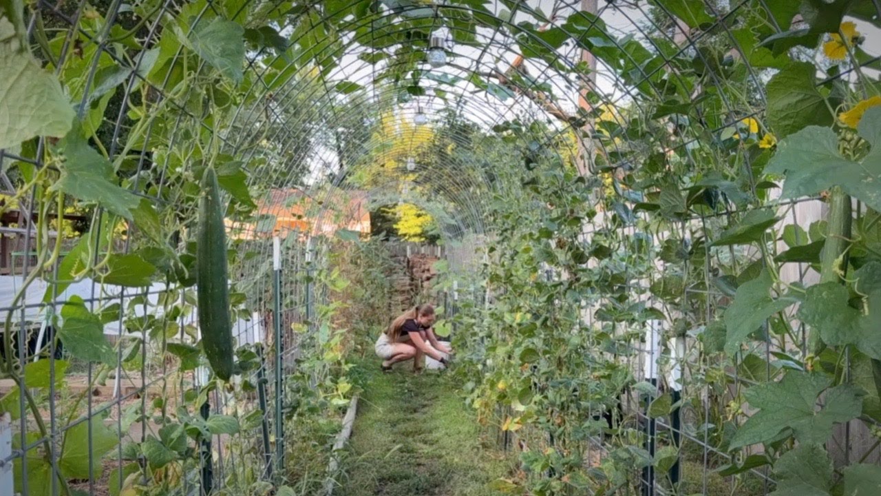 A Morning In My Life During Summer - Garden With Me! VLOG