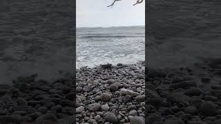 3rd and final 🪣 before the rain hit #sharkastics #beachcleanup