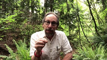 #5minphysics 23: The finale:  Nonsense and Uncertainty