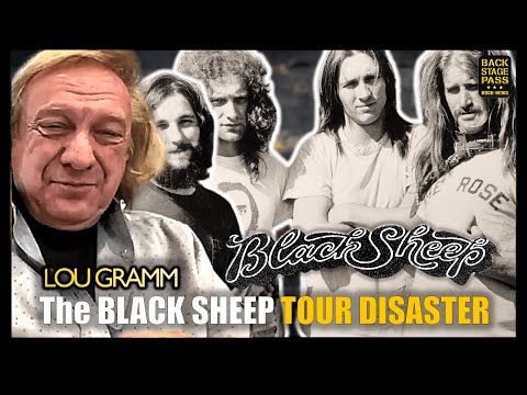 🚌The BLACK SHEEP