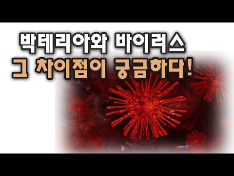 박테리아와 바이러스 차이점을 알아 볼까요?