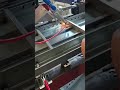 BRTIRPZ 4-Axis Handling Robot