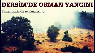 Öznur & Ali Papur | Dersim'in Feryadı