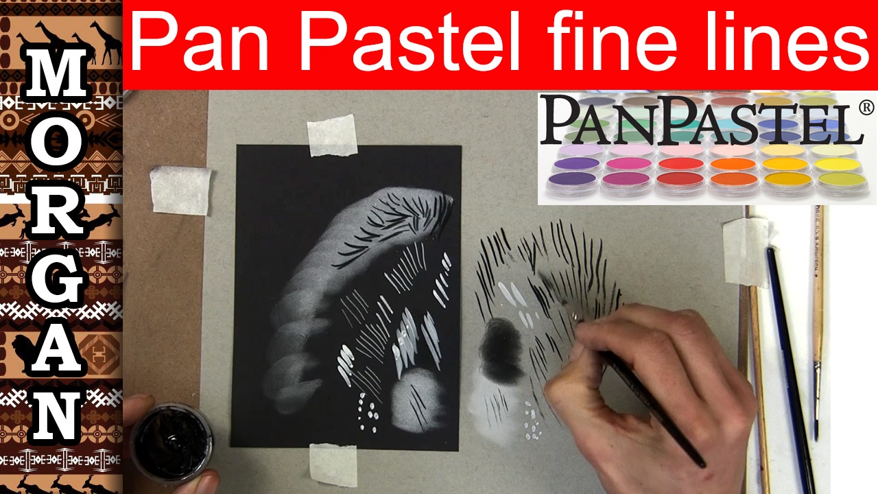 Pan pastel - How to do Thin Lines - Jason Morgan wildlife art 