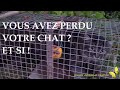 Votre chat ou animale domestique a disparu ? ces pièges partout en France.