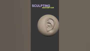 Master 3D Sculpting Anatomy | Create a Stylized Ear for a Character in ZBrush