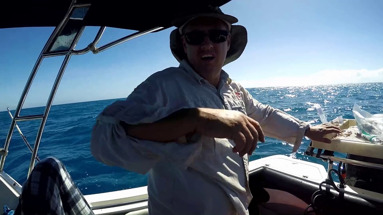 Great Barrier Reef Fishing Queensland 
