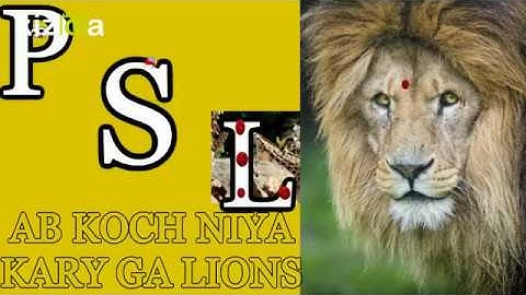 Kizoa Movie - Video - Slideshow Maker: OFFICIAL SONG PRINCE LIONS 2017