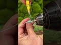 Fisherman Pedro Malazarte reveals infallible technique  #DIYFishing #PerfectHook #InfallibleFishing