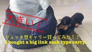 リュック型キャリー買ってみました。ミニチュアダックスフンド。I bought a backpack type carry. Miniature Dachshund.