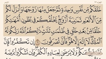 سورة ( الزمر )من " ٦-٧"