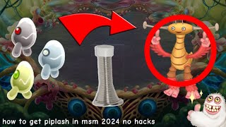 how to get piplash in msm 2024 no hacks