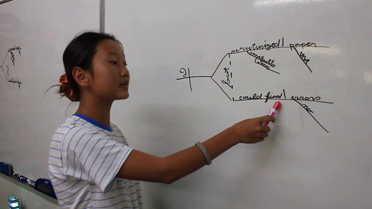 Samuelson Edu--a 6th grader parsing a diagram 2019