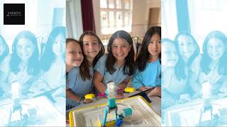 SUMMER STEM