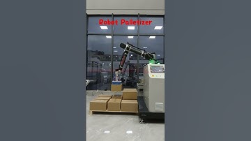 #shorts Automatic Robot Palletizer,high speed packing machine for box-Santa Pack